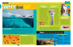 National Geographic Kids Why?: over 1,111 Answers to Everything (NGK Why?)