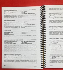 LAKE STATE FEDERAL CREDIT UNION FAVORITES COOKBOOK 8.5X6 INCHES MOOSE LAKE MINN.