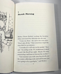 Thanksgiving Day Parade Mystery by Marion M. Markham 1986, Hardcover 0395418550