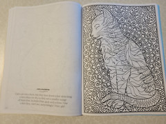 CAT COLORING – 32 Inspiring Designs for Adults -Relax & Enjoy -Escape & Breathe