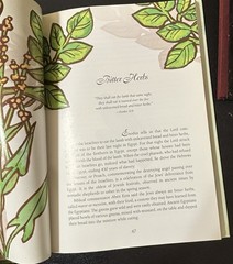 Healing Plants of the Bible HC – History Lore Meditations Spiritual Herbal Guide