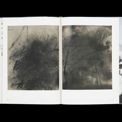 Tomoo Gokita THE GREAT CIRCUS Art Book Exhibition Catalog Contemporary Art