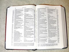 German Bible, Die Bibel, Schlachter 2000, Imitation Leather, Brown Black 2-toned