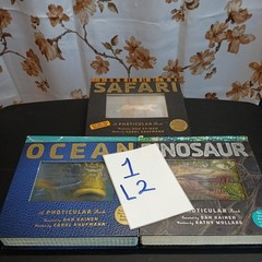 Ocean: A Photicular Book – Hardcover, by Kainen Dan; Kaufmann Carol – Very Good