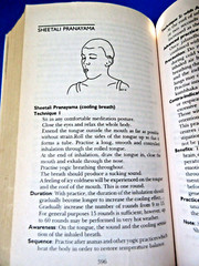 Asana Pranayama Mudra Bandha by Swami Satyananda Saraswati PB 2009