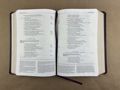 NIV Life Application Study Bible; Ronald A. Beers, Zondervan, 1997, Leather