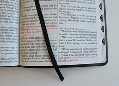 Thinline KJV Holy Bible with Giant Print and Convenient Thumb Index, 1408 Pages