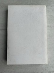 Nazi Germany And The Jews UNCORRECTED PROOF RARE Volume One 1 Saul Friedlander