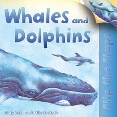 Flip The Flaps: Whales and Dolphins by Allen, Judy