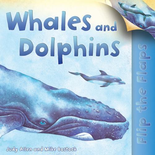 Flip The Flaps: Whales and Dolphins by Judy Allen