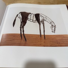 DEBORAH BUTTERFIELD – ROBERT GORDON Hardback With Dust Jacket Horse Sculptures ￼
