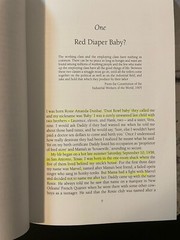 Haymarket Ser.: Red Dirt : Growing up Okie by Roxanne Dunbar-Ortiz (1997,…