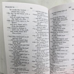 Holy Bible NIV NT Psalms Good News Camo Military Mini 2 Books Vintage Pocket