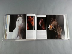 Horses Photo Book Parragon 2010 Illustrated Majestic Animals Equestrian