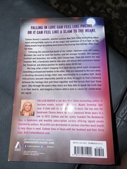 Slammed a Novel by Colleen Hoover (2012, Trade Paperback)