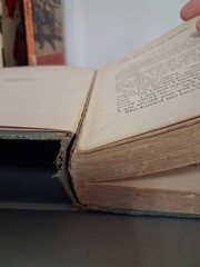 Vintage Book Lot- Scarlett Letter, Mean As Hell, The Girls At Mount Morris,