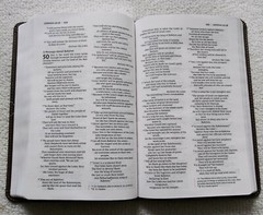NIV Thinline Bible Elegant 9.4-point Print Size Words of Christ in Red Leatherso
