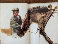 The Farm Book by Rien Poortvliet 1980 – 216 Color Illustrations –HC w/DJ VG Cond