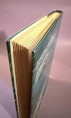 Chains of the Sea by Geo Alec Effinger 1973 1st Print Sci-Fi RARE HC DJ