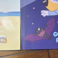 Bluey Lot of 3 Picture Books: The Creek, The Beach, Good Night Fruit Bat