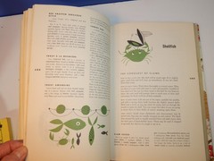 Esquire Cookbook Book, by Editors of Esquire Magazine, 1955 Hardcover, Vintage