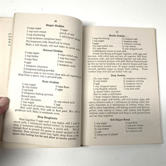 1924 Cookbook Spark Lid-top Gas Range by Leila Adams 128 Pages – Pristine Inside