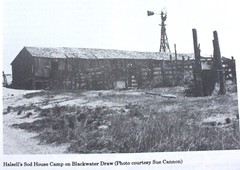 Lamb County, Texas  a Heritage 550 clean pages Mardema Ogletree, director
