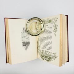 Rip van Winkle Washington Irving Decorative Binding Illustrated Gilt Page Edges