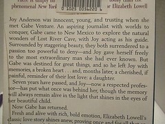 ELIZABETH LOWELL Large Print This Time Love see photos for title/synopsis