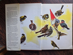 Gnomes by Wil Huygen & Rien Poortvliet 1977 Hardcover Illustrated Dust Jacket
