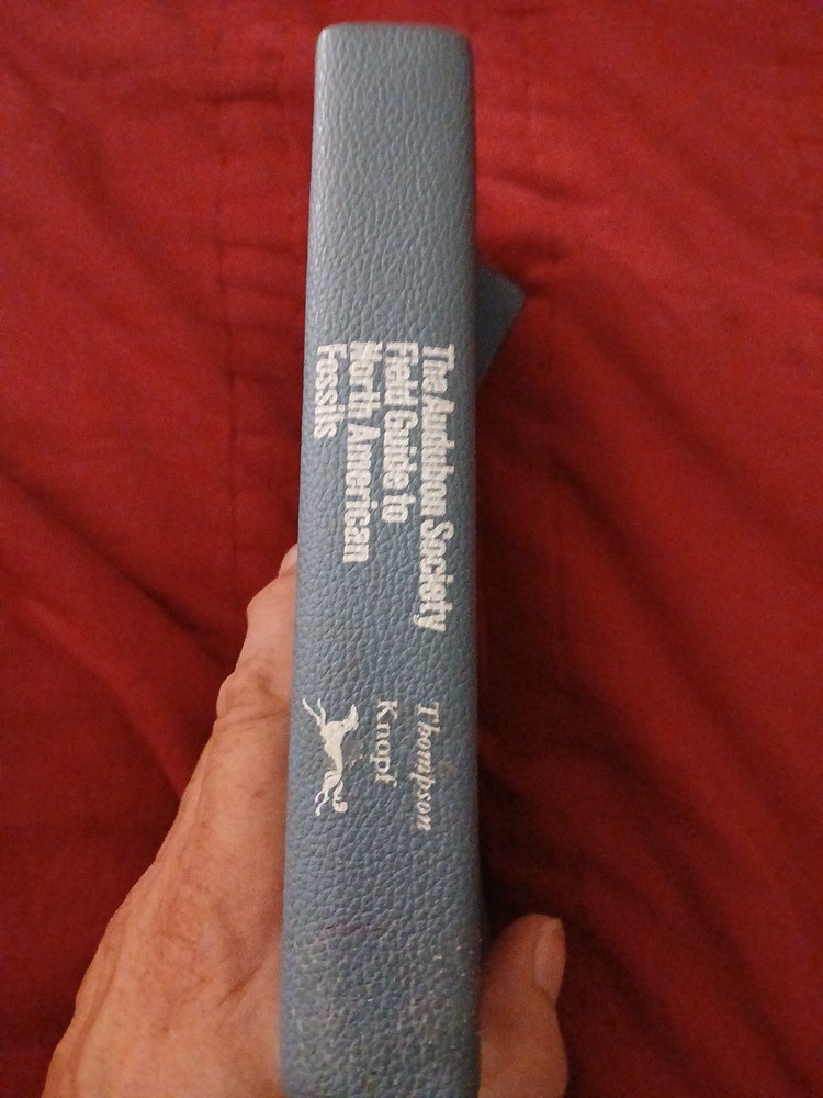 National Audubon Society Field Guide to Fossils : North America by Ida Thompson