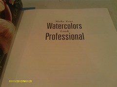 Make Your Watercolours Look Pr – VERY GOOD