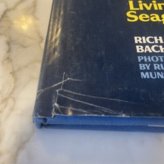 1970 VTG The Macmillan Company, by Richard Bach, Jonathan Livingston Seagull