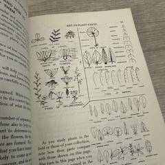 Lot 4 Books Wildflowers & Plants By Different Authors