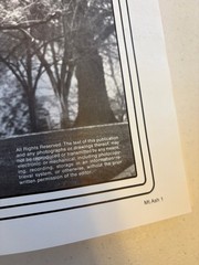 Mountain Ash 1981 Walla Walla College Yearbook Annual