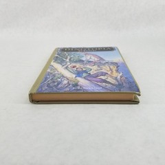 Survive Dinotopia, No. 13 – Hardcover by Brad Strickland