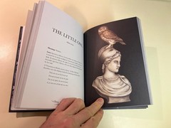 Ornithography Illustrated Guide to Bird Lore & Symbolism, Jessica Roux Hardcover