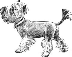 Dogs Coloring Book for Adults and Teens All Ages 108 Pages 8.5 x 11 for All Ages