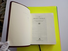 ESV Single Column Journaling Bible (TruTone, Chestnut, Leaves Design) Crossway