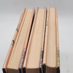 Darren Shan The Demonata Books 4 5 6 Hardcover Ex-Library Bec Blood Beast Fair