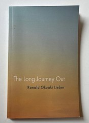 Wipf & Stock The Long Journey Out Ronald Okuaki Lieber Poetry 2023