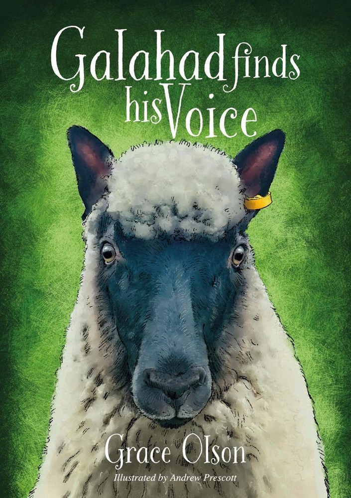 Galahad finds his Voice by Grace Olson Paperback Book