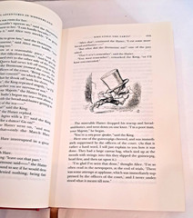 Alice’s Adventures in Wonderland by Lewis Carroll B&N Pink Luxury Edition C5