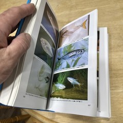 Dr Axelrods Mini Atlas of Freshwater Aquarium Fishes by Dr. Axelrod, Herbert R