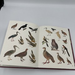 [80% Full] The Forests, Fairies and Fungi Sticker Anthology Book 1,000+ Stickers
