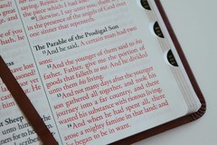 KJV Giant Print Thinline Bible – Durable Brown Cover, Ribbon Marker, 1408 Pages