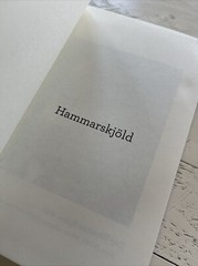 Hammarskjöld : A Life – Hardcover, by Lipsey Roger Ex-Library Book