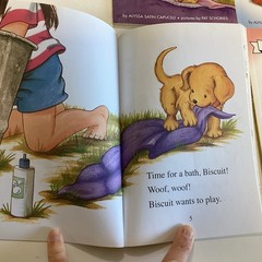 Biscuit Dog My First I Can Read Readers Kindergarten 1st Picture 12 Book Lot
