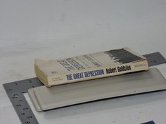 GREAT DEPRESSION UNITED STATES IN THIRTIES BY ROBERT GOLDSTON FAWCETT PB 1968.