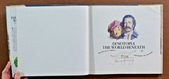 Lot of 2 Hardcover Dinotopia Picture Books James Gurney The World Beneath SIGNED